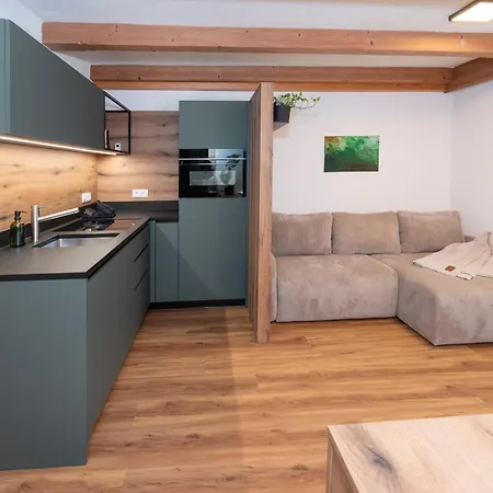 Natural Deluxe Apartments Alpbach Extérieur photo